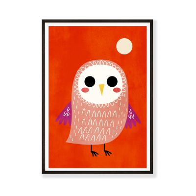 Little Owl