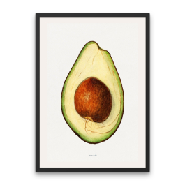 Avocado Poster Illustrated | Inkifi