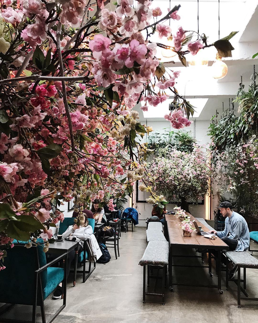 5 of the Coolest London Coffee Shops with Veronica Ardimento