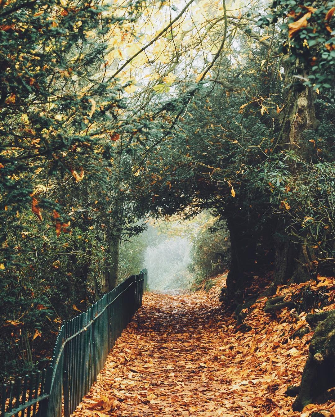 5 Classic Shots to Capture the Beauty of Autumn with Daniel Casson