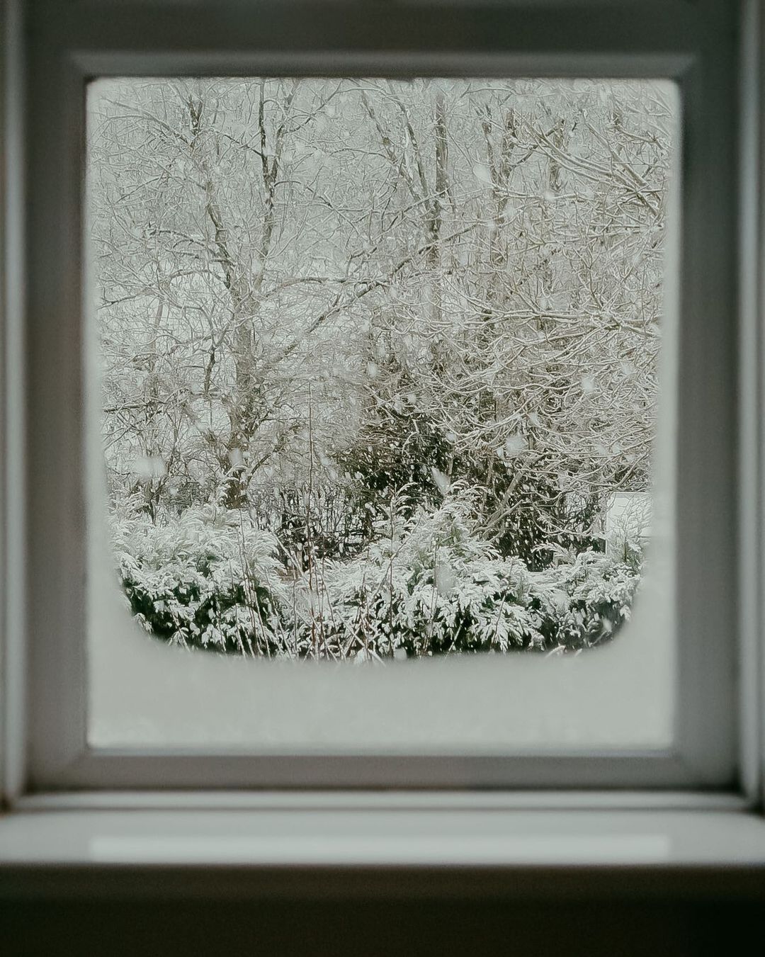 How to Photograph Winter with Victoria Anne Hughes