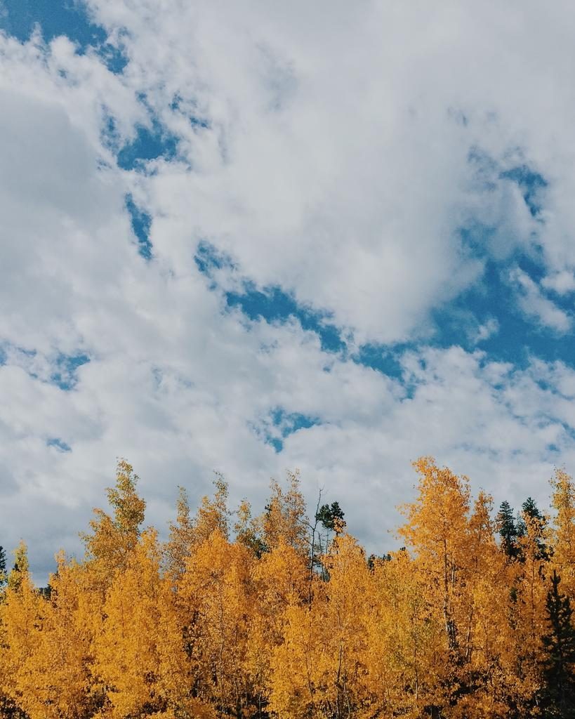 Image shows the importance of iphone photography tip Find A Subject. Image shows a blue sky with soft white clouds against autumnal trees.