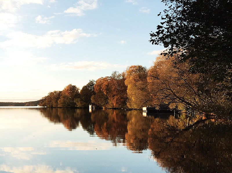 Image shows how soft lighting can improve iphone photography. Image shows autumnal trees next to water under a soft blue sky.